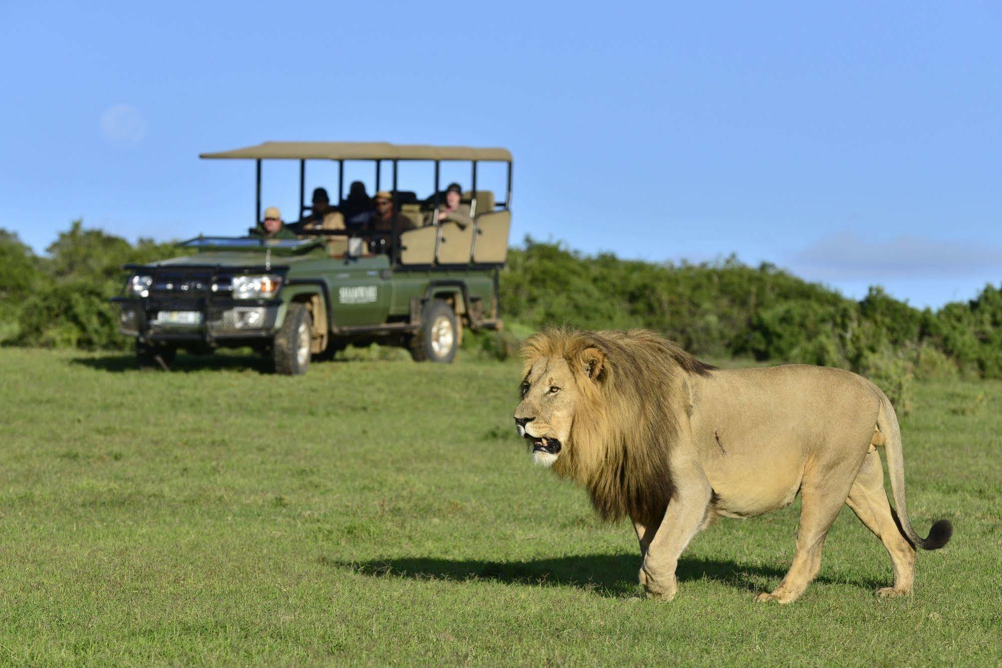 Shamwari Game Reserve Port Elizabeth Bagian luar foto